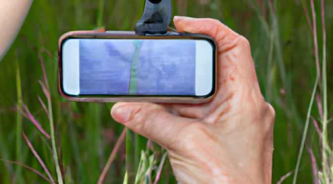 Citizen scientist monitoring invasive species photo