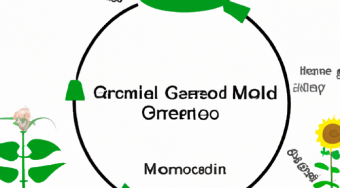 Ecological balance diagram, GMO crops in ecosystem