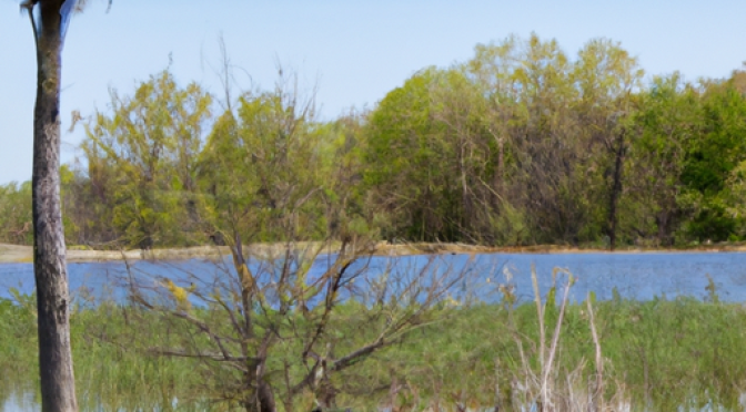 Community benefiting from restored habitat photo