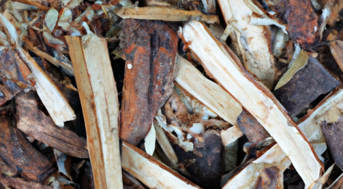 Image of assorted organic materials such as wood, agricultural waste, and plants.