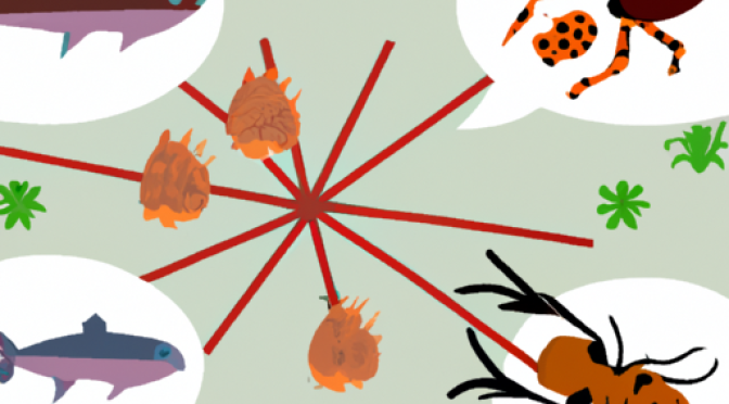 Food web illustration impacted by invasive species