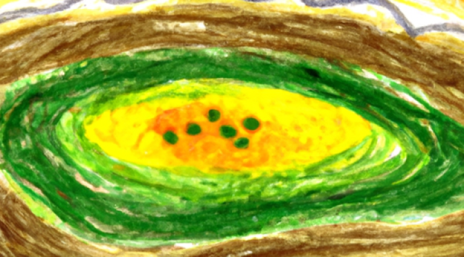 drawing, illustration, colorful, realistic, Influence of organic matter on soil quality, texture, fertility.