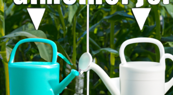 Watering GMO vs non-GMO plants photo