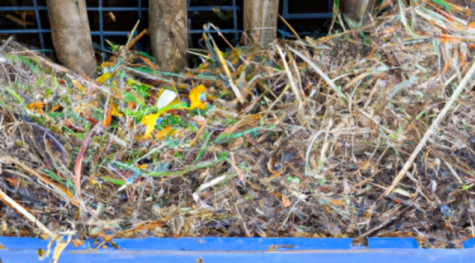 Sustainable agriculture with composting photo