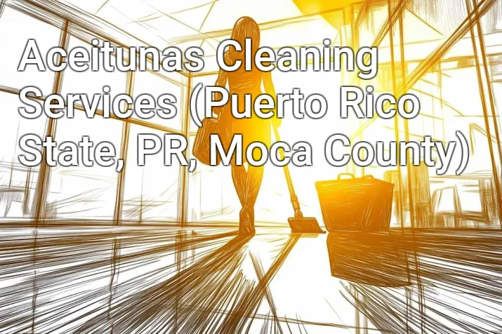Aceitunas Cleaning Services (Puerto Rico State, PR, Moca County)