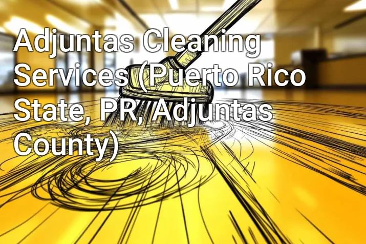 Adjuntas Cleaning Services (Puerto Rico State, PR, Adjuntas County)