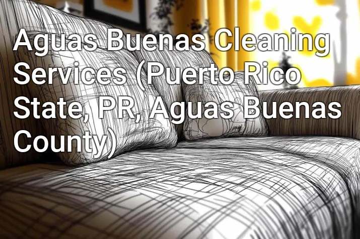 Aguas Buenas Cleaning Services (Puerto Rico State, PR, Aguas Buenas County)