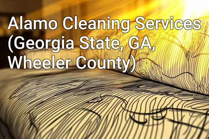 Alamo Cleaning Services (Georgia State, GA, Wheeler County)