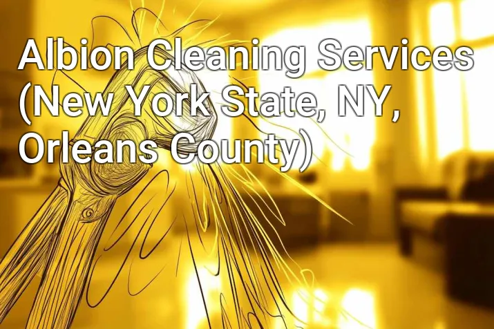 Albion Cleaning Services (New York State, NY, Orleans County)