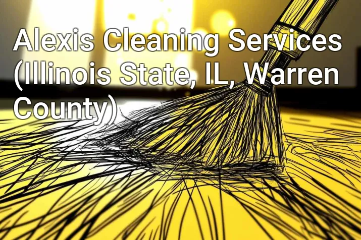 Alexis Cleaning Services (Illinois State, IL, Warren County)