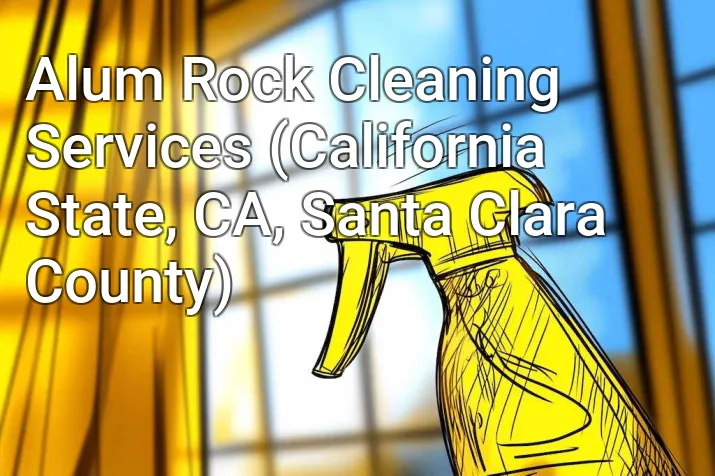 Alum Rock Cleaning Services (California State, CA, Santa Clara County)