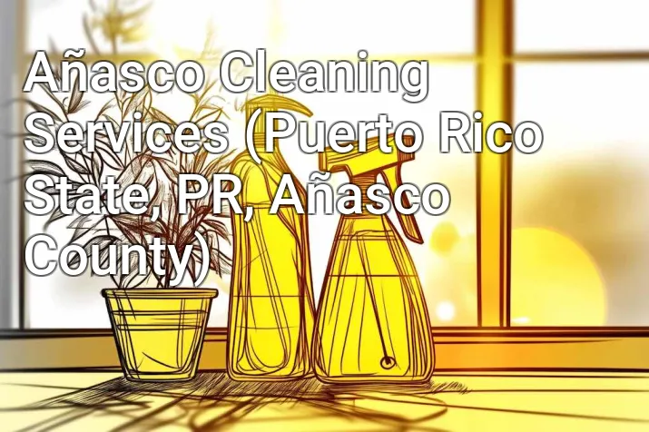 Añasco Cleaning Services (Puerto Rico State, PR, Añasco County)