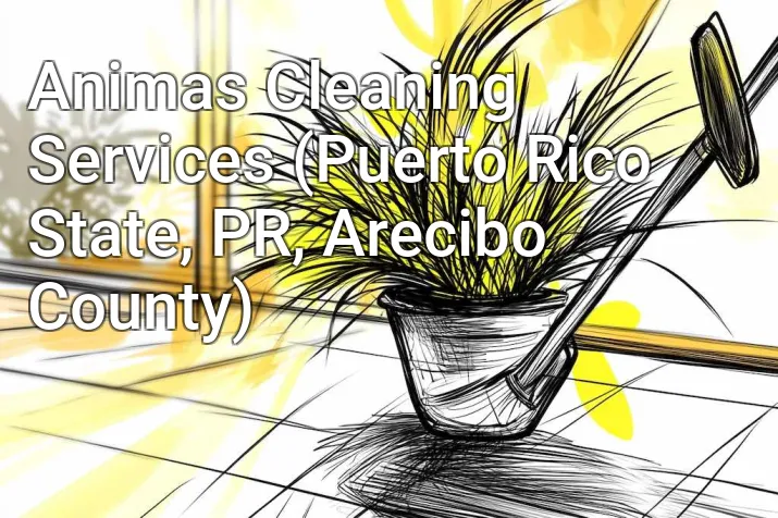 Animas Cleaning Services (Puerto Rico State, PR, Arecibo County)