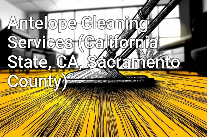 Antelope Cleaning Services (California State, CA, Sacramento County)