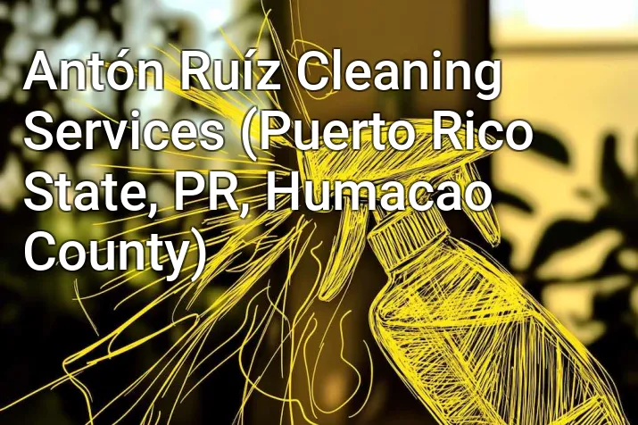 Antón Ruíz Cleaning Services (Puerto Rico State, PR, Humacao County)
