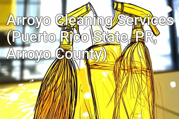 Arroyo Cleaning Services (Puerto Rico State, PR, Arroyo County)