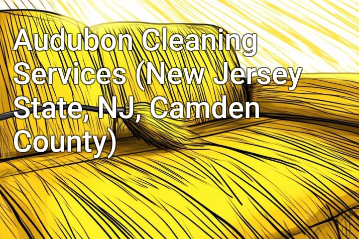 Audubon Cleaning Services (New Jersey State, NJ, Camden County)