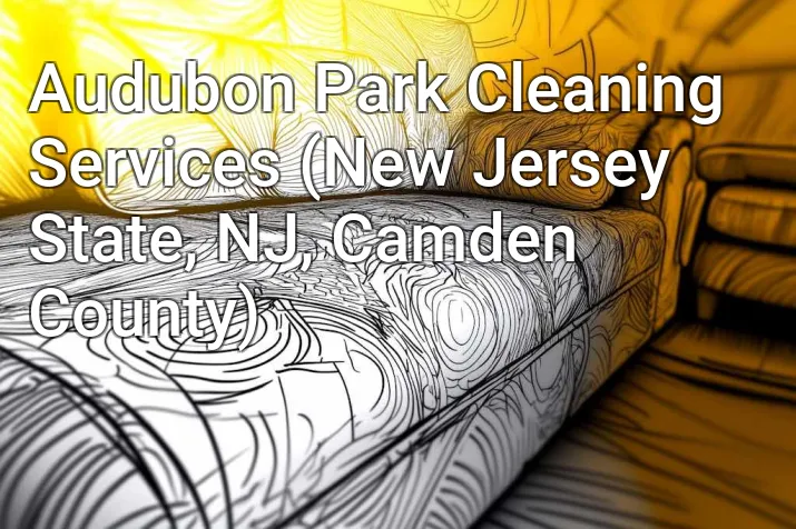 Audubon Park Cleaning Services (New Jersey State, NJ, Camden County)