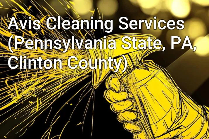 Avis Cleaning Services (Pennsylvania State, PA, Clinton County)