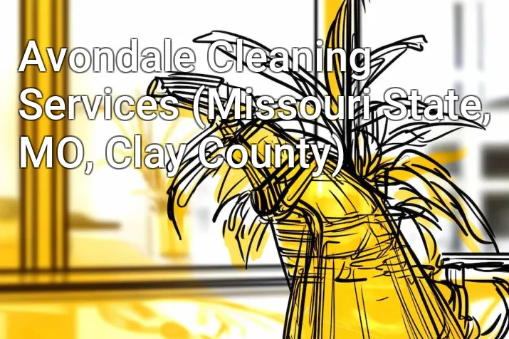 Avondale Cleaning Services (Missouri State, MO, Clay County)