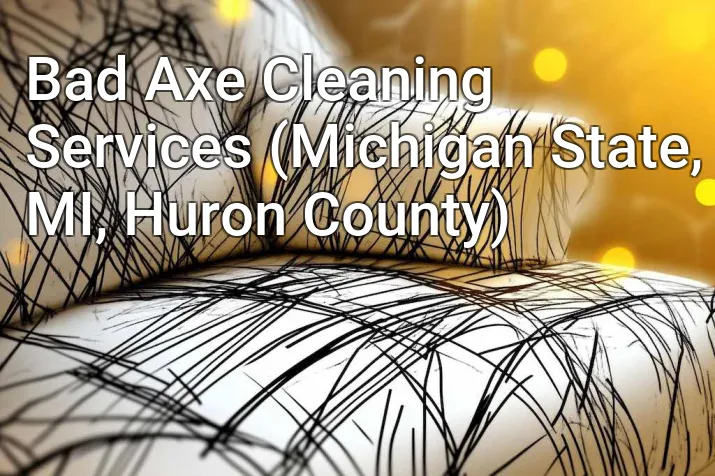 Bad Axe Cleaning Services (Michigan State, MI, Huron County)