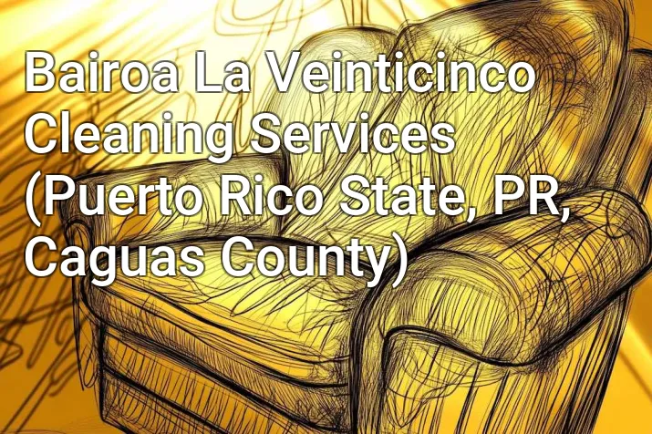 Bairoa La Veinticinco Cleaning Services (Puerto Rico State, PR, Caguas County)