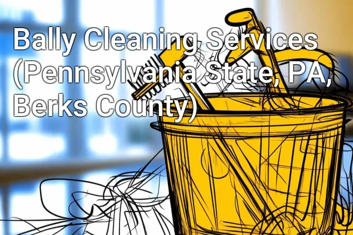 Bally Cleaning Services (Pennsylvania State, PA, Berks County)