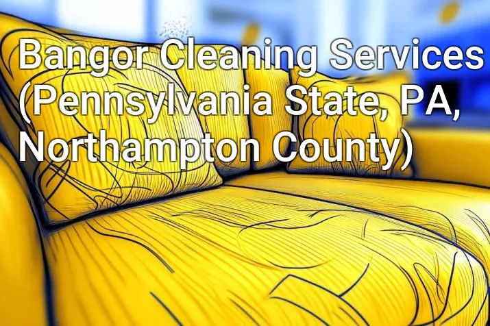 Bangor Cleaning Services (Pennsylvania State, PA, Northampton County)
