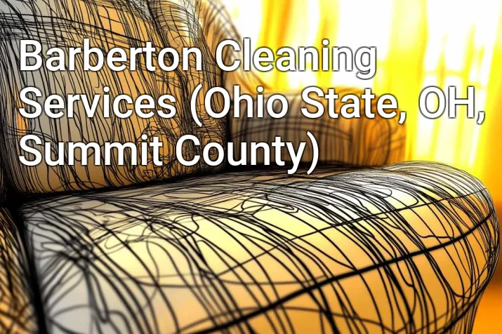 Barberton Cleaning Services (Ohio State, OH, Summit County)