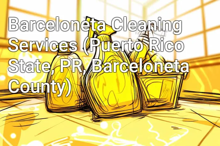 Barceloneta Cleaning Services (Puerto Rico State, PR, Barceloneta County)