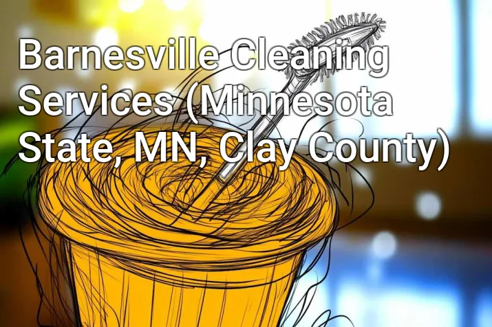 Barnesville Cleaning Services (Minnesota State, MN, Clay County)