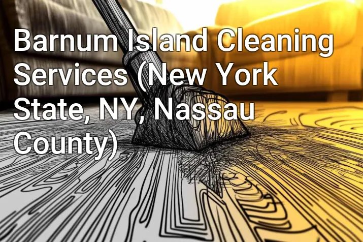 Barnum Island Cleaning Services (New York State, NY, Nassau County)