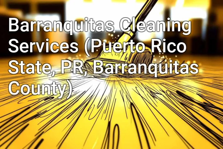 Barranquitas Cleaning Services (Puerto Rico State, PR, Barranquitas County)