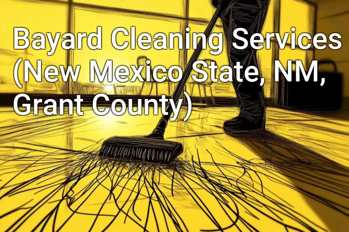 Bayard Cleaning Services (New Mexico State, NM, Grant County)