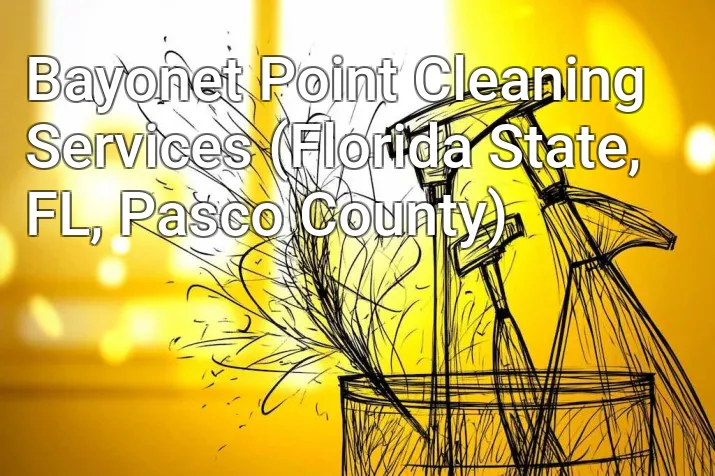 Bayonet Point Cleaning Services (Florida State, FL, Pasco County)