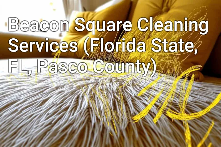 Beacon Square Cleaning Services (Florida State, FL, Pasco County)