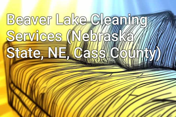 Beaver Lake Cleaning Services (Nebraska State, NE, Cass County)