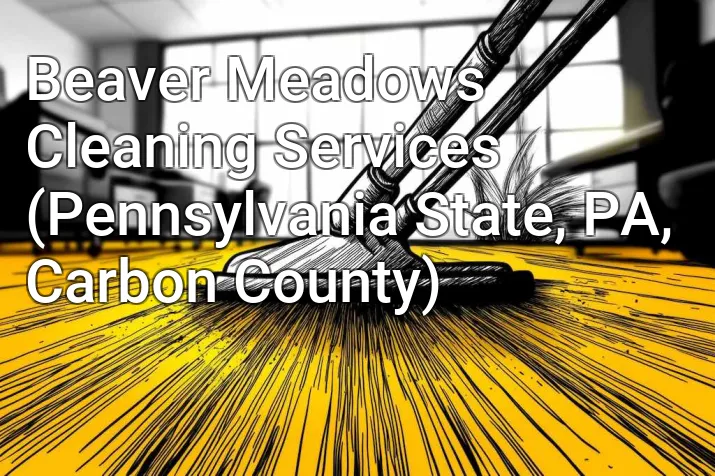 Beaver Meadows Cleaning Services (Pennsylvania State, PA, Carbon County)
