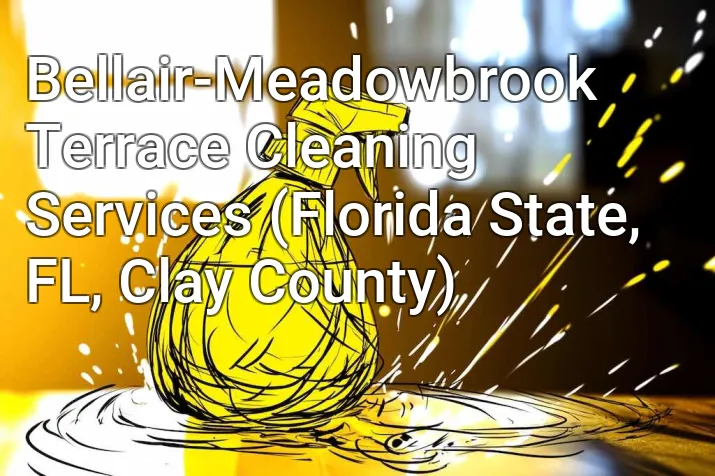 Bellair-Meadowbrook Terrace Cleaning Services (Florida State, FL, Clay County)