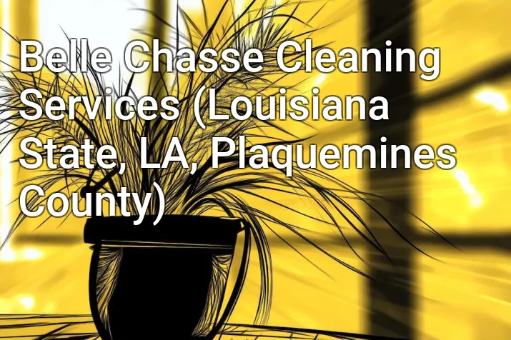 Belle Chasse Cleaning Services (Louisiana State, LA, Plaquemines County)