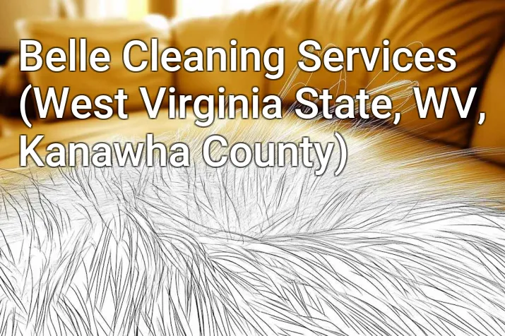 Belle Cleaning Services (West Virginia State, WV, Kanawha County)