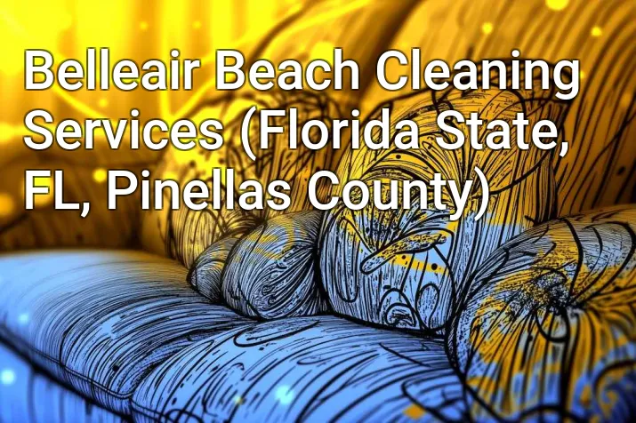 Belleair Beach Cleaning Services (Florida State, FL, Pinellas County)