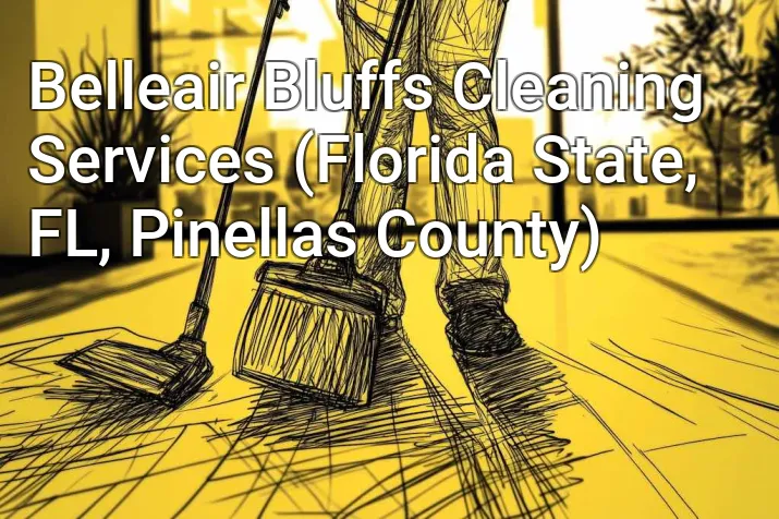 Belleair Bluffs Cleaning Services (Florida State, FL, Pinellas County)