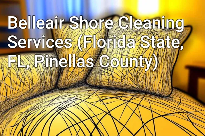 Belleair Shore Cleaning Services (Florida State, FL, Pinellas County)
