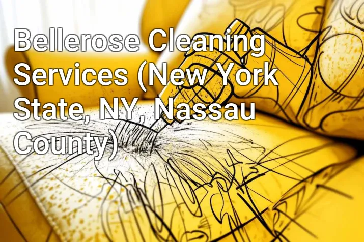 Bellerose Cleaning Services (New York State, NY, Nassau County)