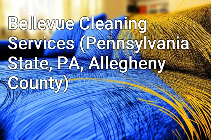 Bellevue Cleaning Services (Pennsylvania State, PA, Allegheny County)