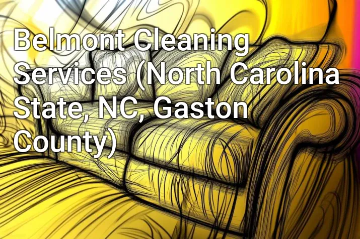 Belmont Cleaning Services (North Carolina State, NC, Gaston County)