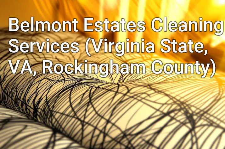 Belmont Estates Cleaning Services (Virginia State, VA, Rockingham County)