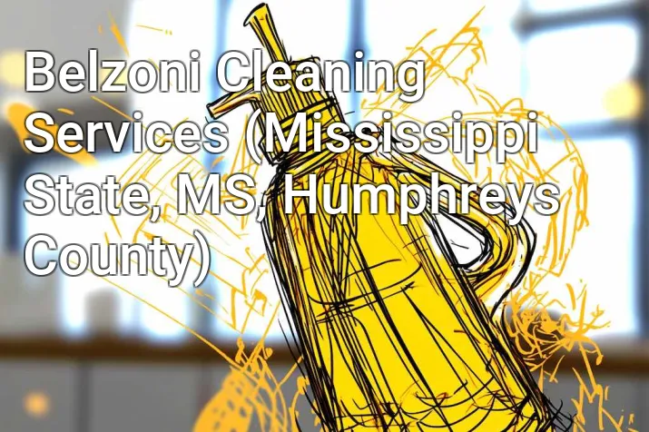 Belzoni Cleaning Services (Mississippi State, MS, Humphreys County)