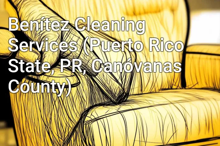 Benítez Cleaning Services (Puerto Rico State, PR, Canóvanas County)